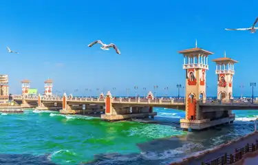 الا سكندرية